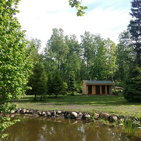 Villa Brivdienu Maja "Raudini" Kaltene Exterior foto