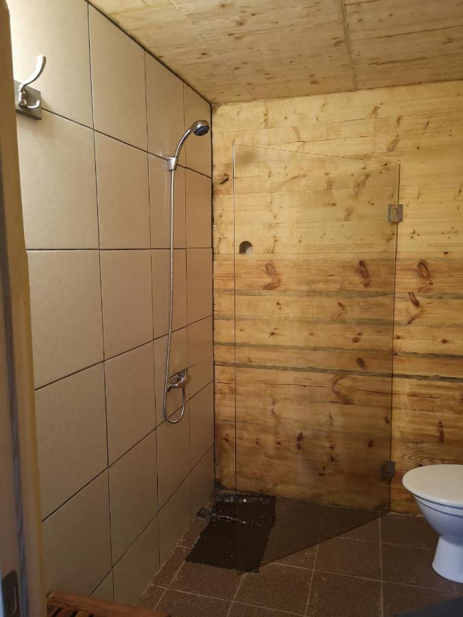 Brivdienu Maja "Raudini" Kaltene Exterior foto