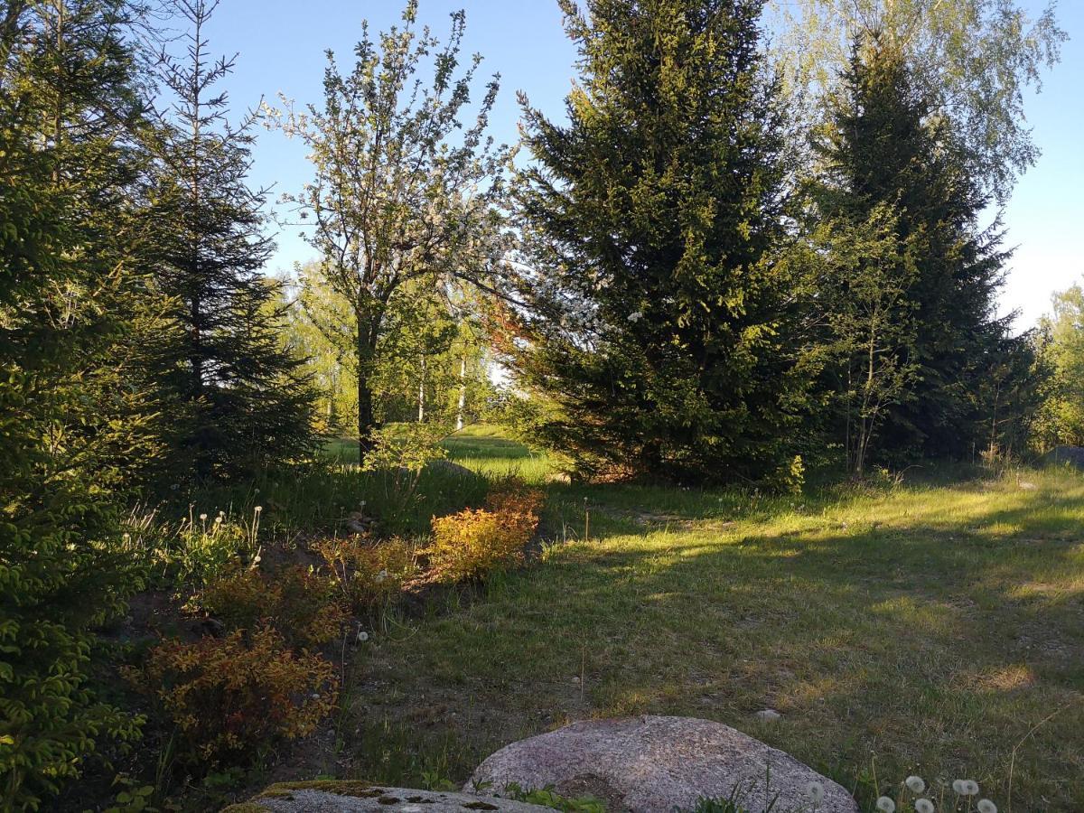 Brivdienu Maja "Raudini" Kaltene Exterior foto
