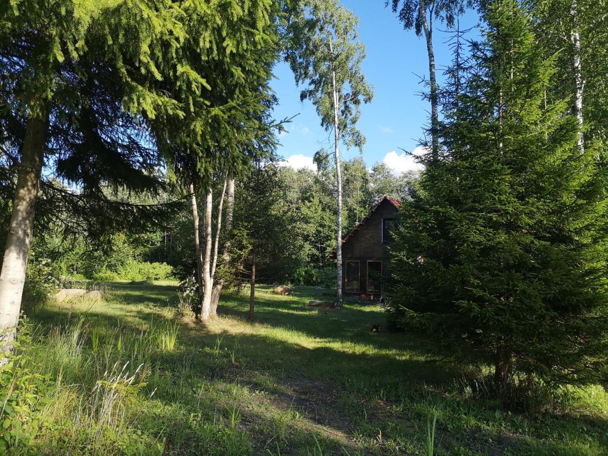 Brivdienu Maja "Raudini" Kaltene Exterior foto