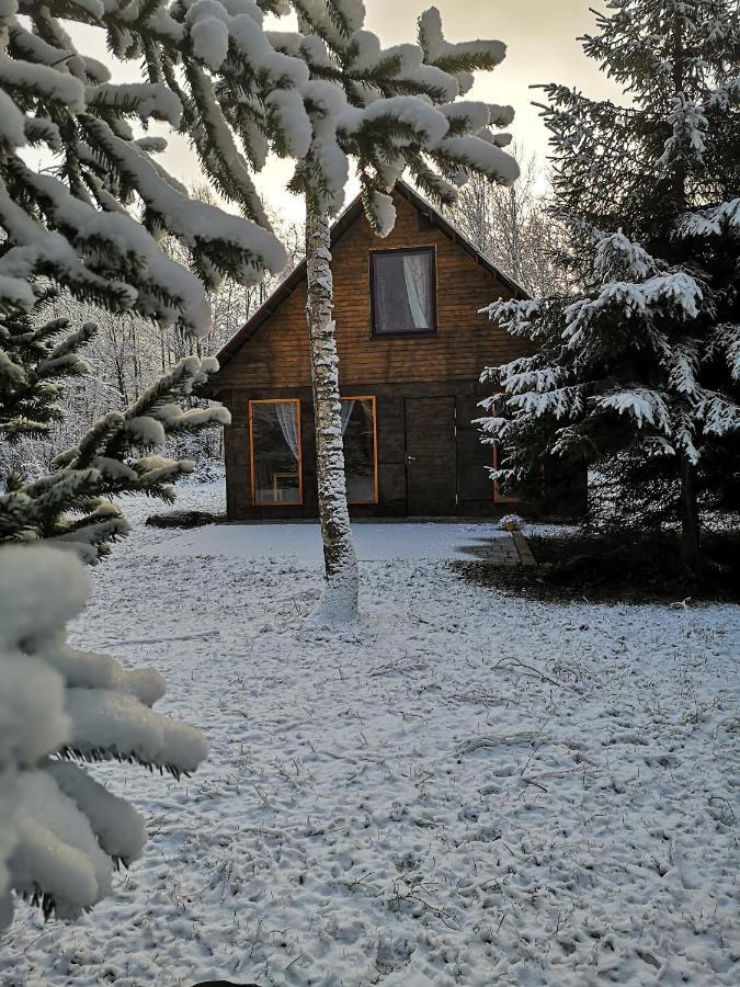 Villa Brivdienu Maja "Raudini" Kaltene Exterior foto