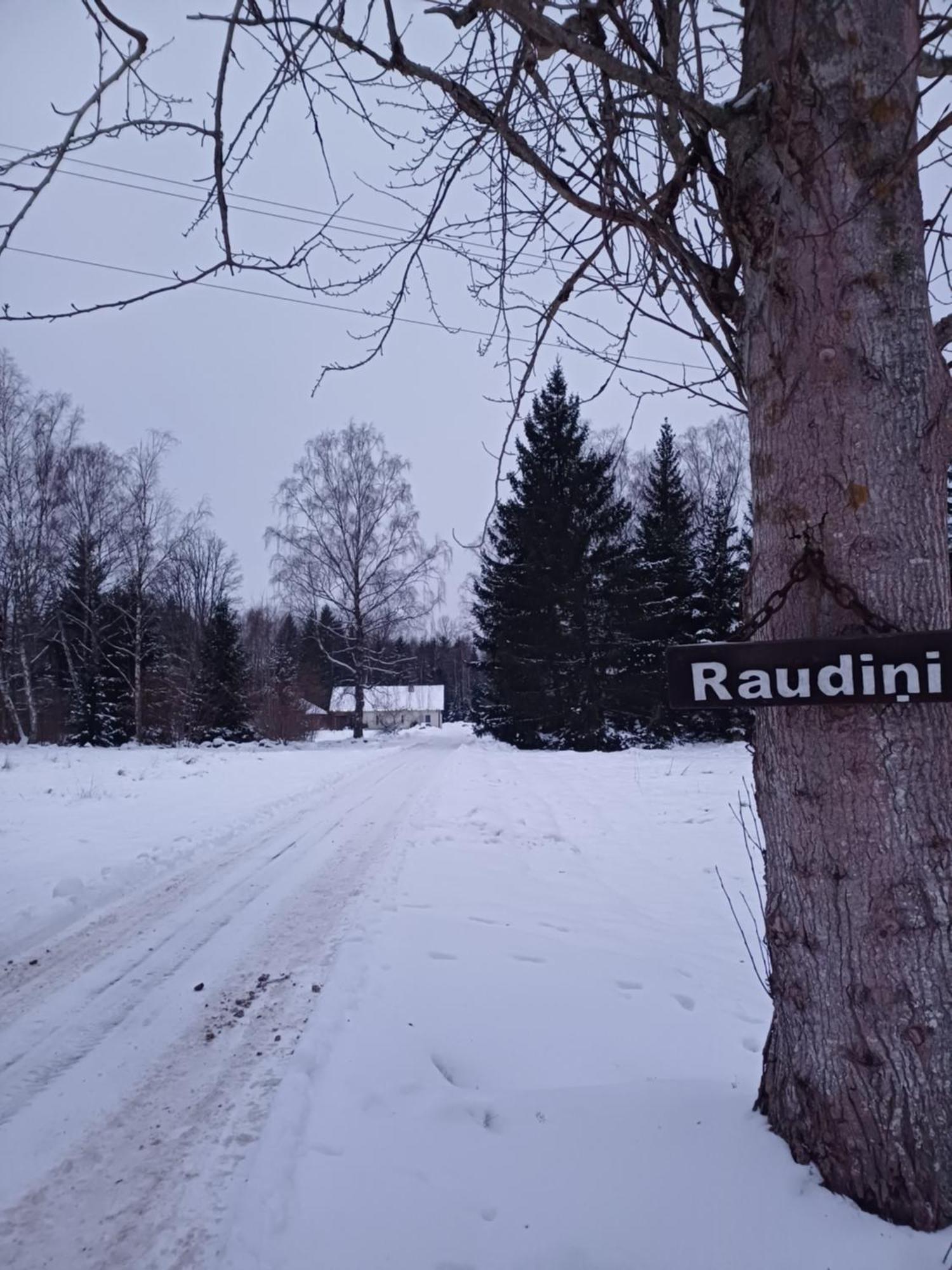 Villa Brivdienu Maja "Raudini" Kaltene Exterior foto