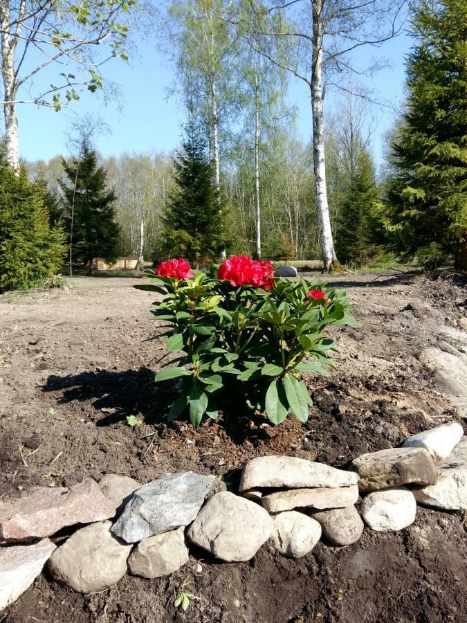 Brivdienu Maja "Raudini" Kaltene Exterior foto