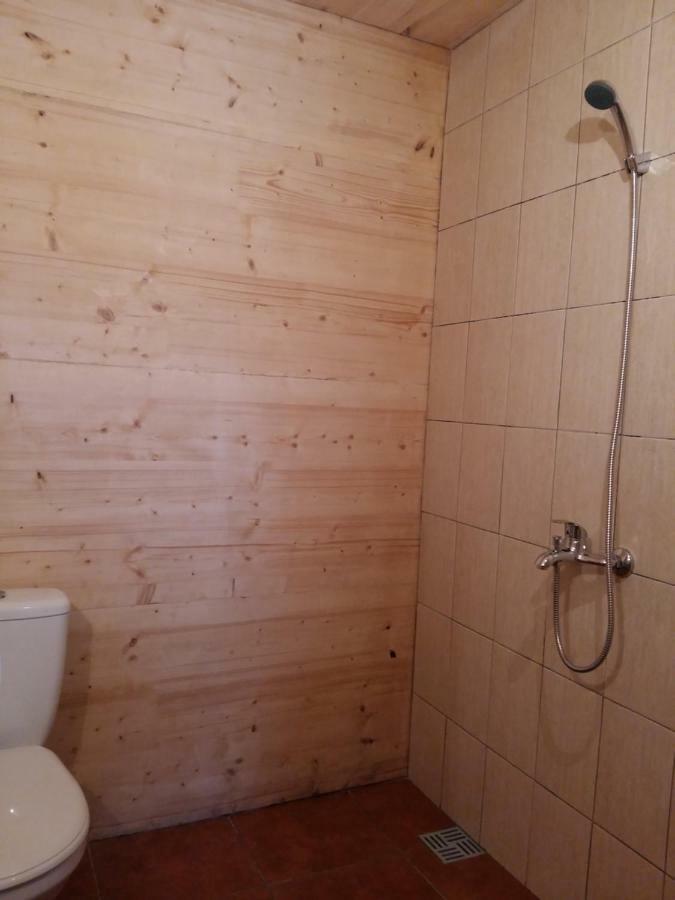 Brivdienu Maja "Raudini" Kaltene Exterior foto