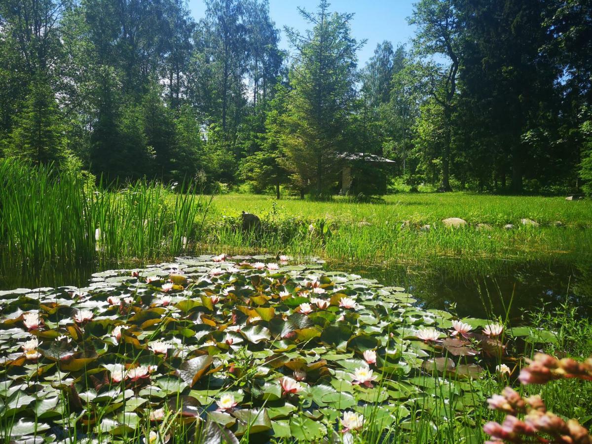 Villa Brivdienu Maja "Raudini" Kaltene Exterior foto